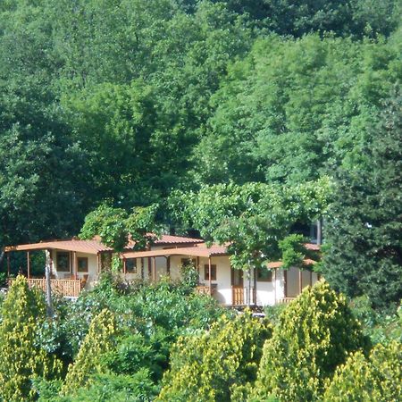 Campeggio Pian Dei Boschi Pietra Ligure Exterior foto